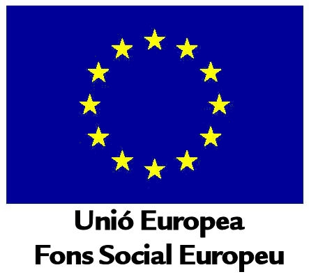 Subvencions per a programes innovadors cofinançats pel Fons Social Europeu