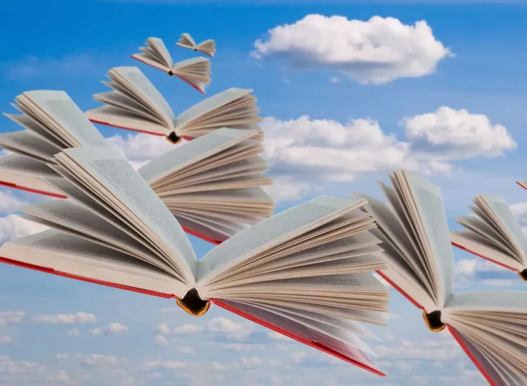 Libros volando