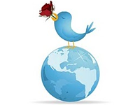 Icona de Twitter amb una rosa al bec