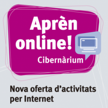 CIbernàrium online training