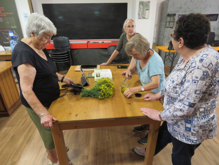 Imatge del Punt Òmnia Itinerant Pallars Sobirà