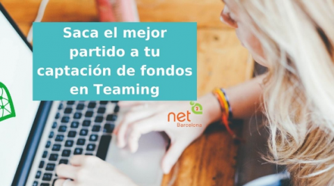 Taller: Microdonacions amb Teaming.net de NetSquared Barcelona 