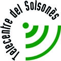 Estudi de necessitats formatives TIC en el sector empresarial del Solsonès