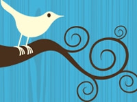 Twitter, exemple del potencial de les eines socials d'Internet