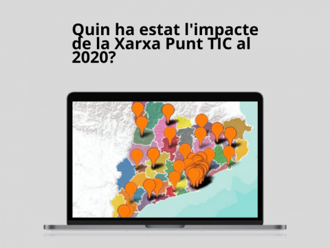 The impact of the Punt TIC network in 2020