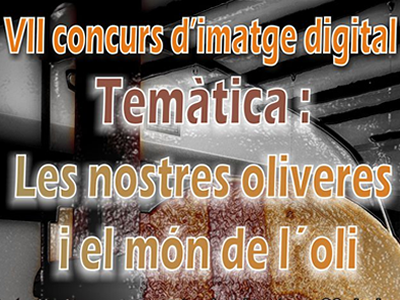 Part del cartell del concurs d'imatge digital de Santa Bàrbara 2012