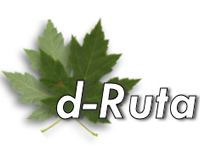 D-Ruta