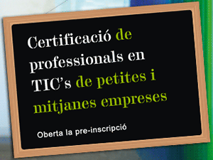 Certificació de professionals en TIC de PIMEs