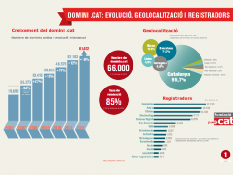 Infografia sobre l’estat de salut del domini .cat