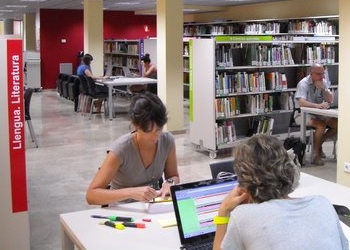 Imatge de la biblioteca amb una persona mirant un ordinador portàtil