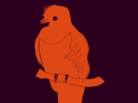 Part del logo de l'Ubuntu 12.10 Quantal Quetzal