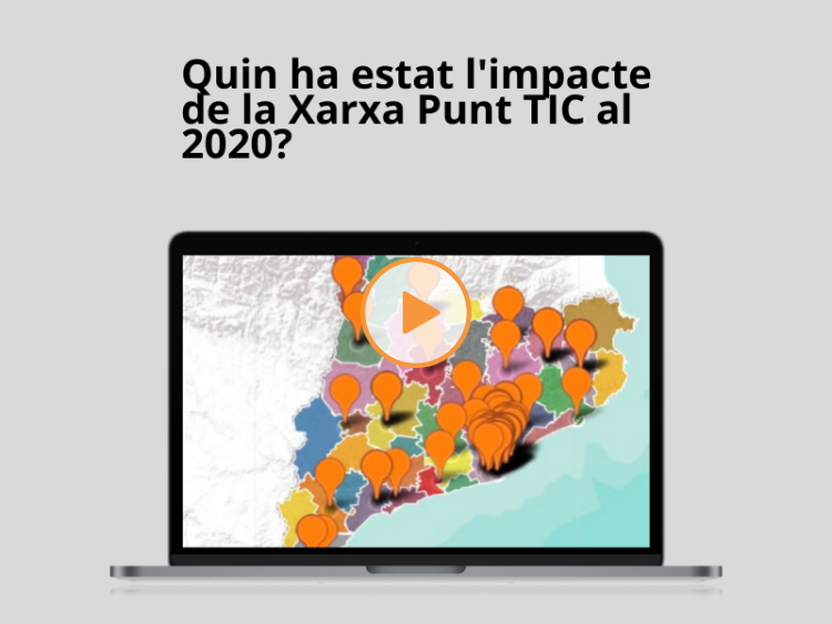 The impact of the Punt TIC network in 2020