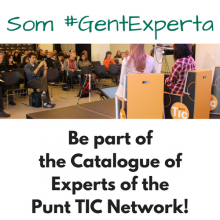 Be part of the Catalogue of experts of the Punt TIC Network!